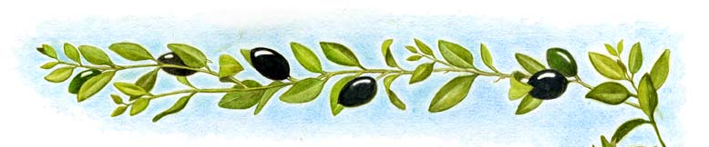 Ruth-top-right-Olives-border
