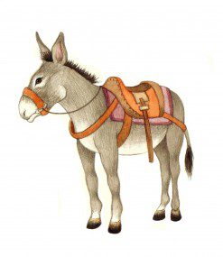 grey-donkey-this-one