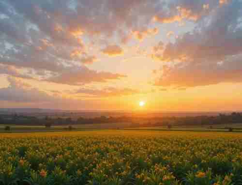 طبيعة المسيح الربانية –(1)